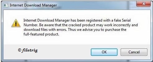 IDM Fake Serial